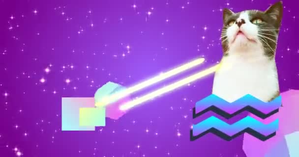 Minimalna sztuka animacji. Projektowanie Gif. Lasery do oczu kotów — Wideo stockowe
