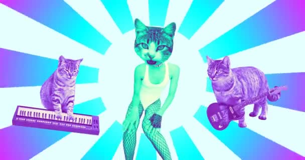 Movimiento arte de diseño mínimo. Gatos banda musical divertida. Estilo de moda rock — Vídeos de Stock