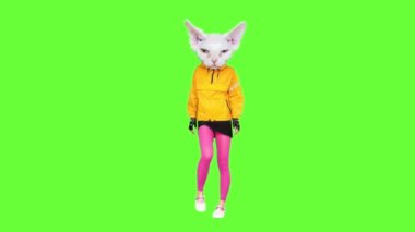 Gif animasyon tasarımı, şık turuncu dans eden moda kedisi.