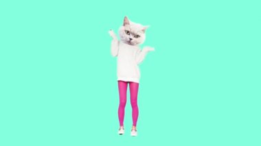 Gif animasyon tasarımı, komik kedicik şık beyaz kapüşonlu dans.