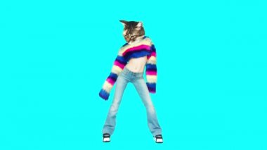 Gif animasyon tasarımı. Kedicik dans stili. Moda kürkü