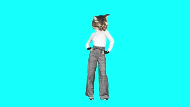 Gif animación arte Moda gatito en vintage pantalones bailando — Vídeo de stock