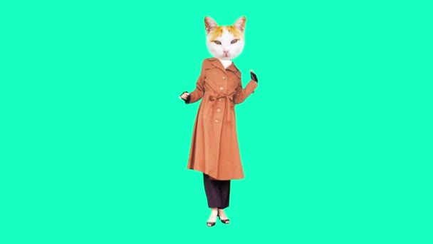 Animasyon sanatı. Parisli gibi eski bir paltoyla kedi modası. — Stok video