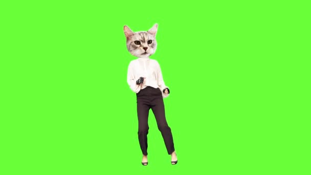 Gif animation konst Söt Kitty dans i vintage stil — Stockvideo