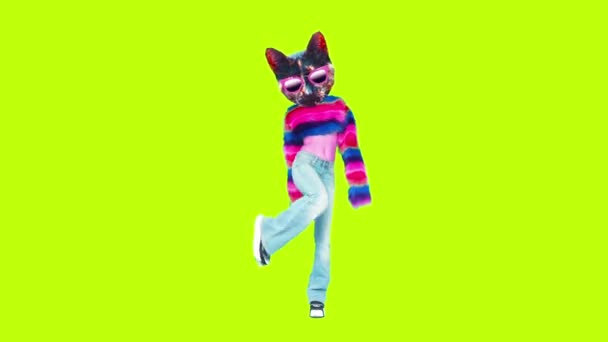 Gif animace design. Kitty klubový styl tance. — Stock video