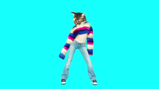 Gif Animationsdesign. Kitty Clubbing Tanzstil. Mode Pelzmantel — Stockvideo