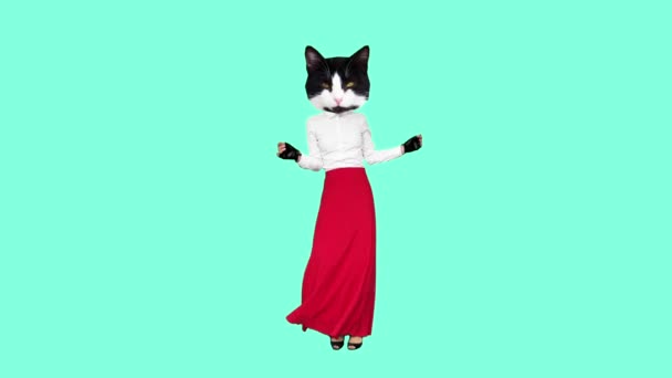 Gif animation design. Pretty Kitty dancing flamencoin red skirt — Stock Video