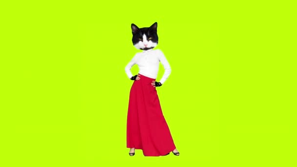 Gif animación arte Pretty Kitty baile flamencoin falda roja — Vídeo de stock