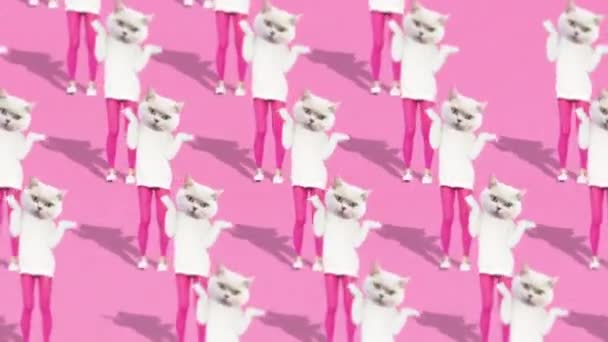 Diseño de animación de moda. Gatito bailarín. Efecto viejo TV — Vídeos de Stock