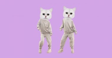 Pembe arka planda farklı duyguları olan komik arkadaşlıkları kesin. Reklam ve sunumlar için ideal.