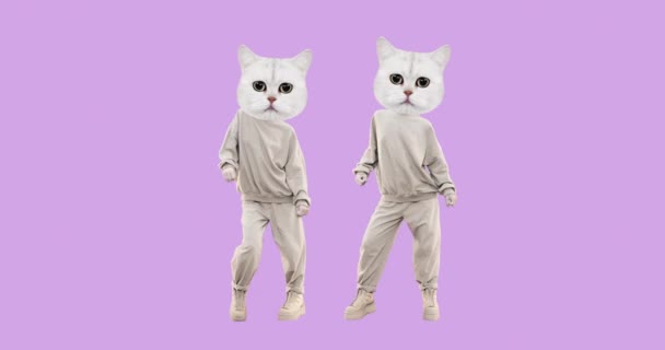 Stop motion funny friendship Cats with different emotions on pink background. Ideal for advertising and presentations — Stock Video