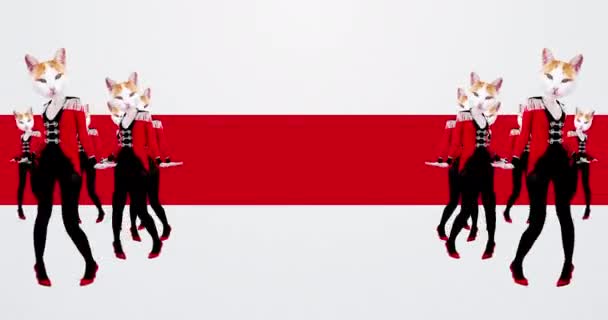 Diseño gif minimalista de moda. Elegante Kitty bailando con un traje de húsar — Vídeo de stock