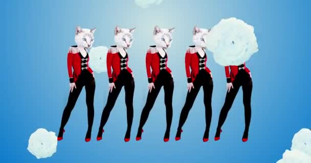 Diseño gif minimalista de moda. Kitty bailando con estilo en un traje de húsar. Concepto del partido — Vídeos de Stock