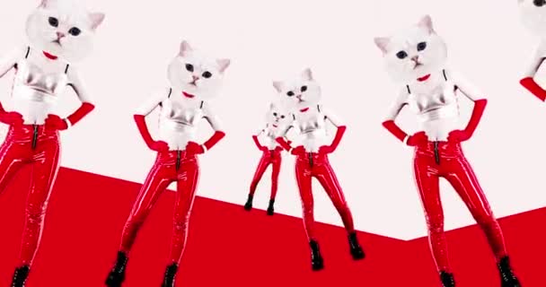 Fashion minimal animation design. Dancing Kitty Rock style Party concept — Stock Video