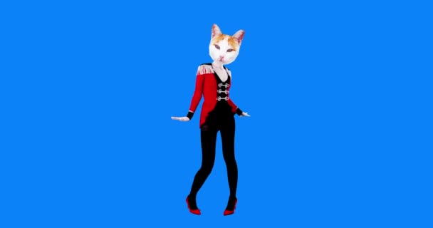 Diseño de moda gif. Kitty bailando con estilo en traje de húsar. Concepto del partido — Vídeos de Stock