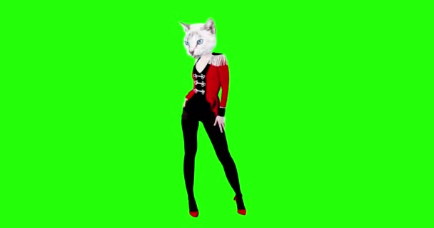 Moda gif art. Elegante gattino danzante in abito ussaro. Concetto di partito — Video Stock