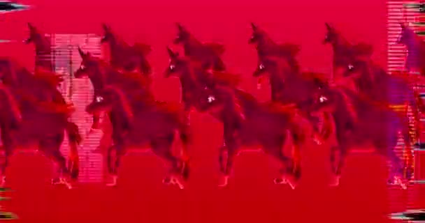 Animation design. Fashion unicorn vibes — Stock Video