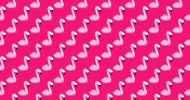 Hareket desenli tasarım. Flamingo arkaplanı minimal