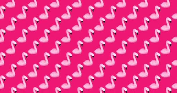 Design de padrão de movimento. Flamingo fundo mínimo — Vídeo de Stock