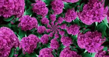 Animasyon sanatı. Çiçekler açan kaleydoskop arkaplanı