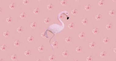 Animasyon tasarım sanatı. Çiçekler ve flamingo arka planı