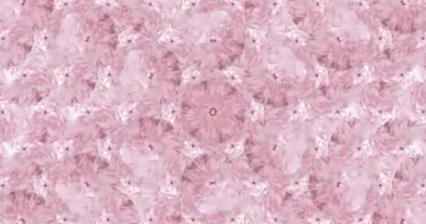 Beweging ontwerp. Roze rozen achtergrond patroon. Trendy bloei — Stockvideo