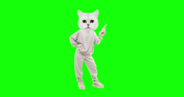 Stop motion personaggio divertente Gatto con diverse emozioni su sfondo chiave cromatica. Sto puntando il dito. Ideale per pubblicità e presentazioni — Video Stock