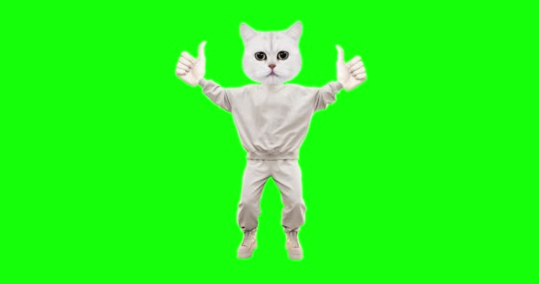 Stop motion character Cat with different emotions on chroma key background. Thumbs up. Ideal for advertising and presentations — Stock Video