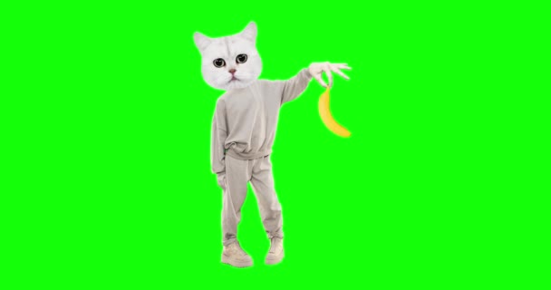 Stop motion funny character Cat with different emotions on chroma key background. Banana lover. Ideal for advertising and presentations — Stock Video