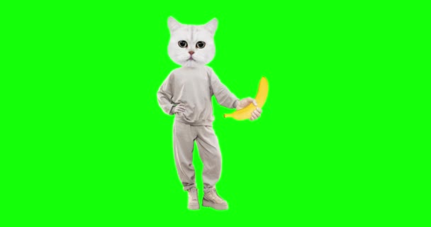 Stop motion Gato engraçado com emoções diferentes no fundo da chave chroma. Amante de banana. Ideal para publicidade e apresentações — Vídeo de Stock
