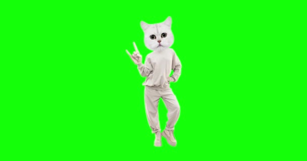Stop motion personaggio divertente Gatto con diverse emozioni su sfondo chiave cromatica. Indicazione Ideale per pubblicità e presentazioni — Video Stock