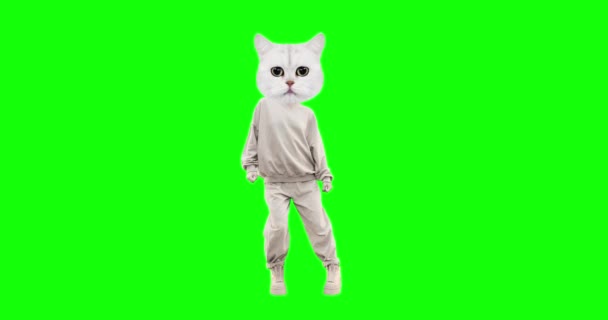 Stop motion funny character Cat with different emotions on chroma key background. Dancing motion. Ideal for advertising and presentations — Stock Video