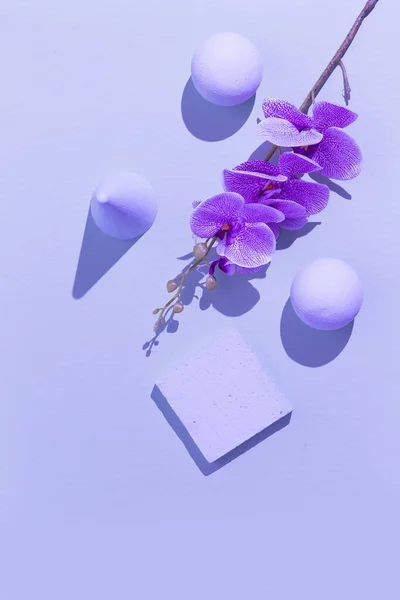 Abstract geometry and flowers minimal background. Pastel purple trendy colours. Still life concept design