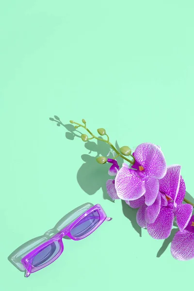 Plastik Orkidé Blommor Och Snygga Solglasögon Mode Koncept Minimal Konst — Stockfoto