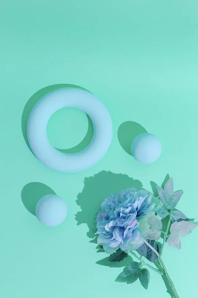 Abstract geometry and flowers minimal background. Pastel aqua menthe trendy colours. Still life concept design