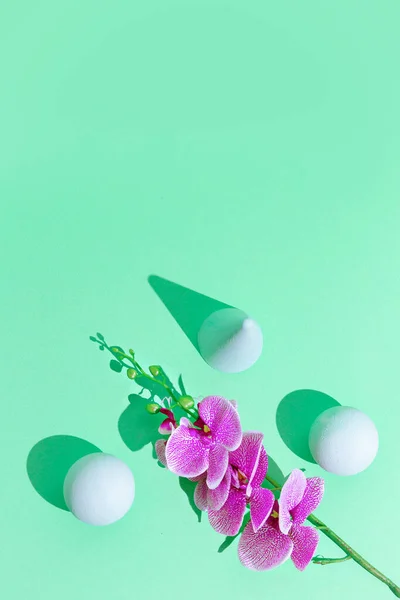 Abstract geometry and flowers minimal background. aqua menthe trendy colours. Still life concept