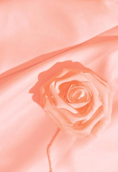 Minimální Monochromatická Růžová Estetika Hedvábná Látka Růže Koncept Textury Pozadí — Stock fotografie