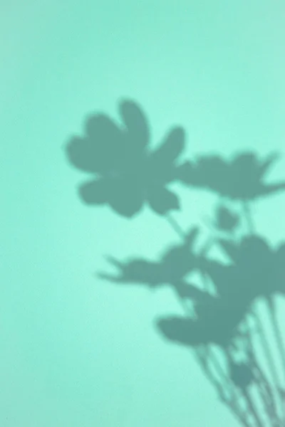 ミニマルな審美的な静物画のデザイン アクアはトレンドを意味する 花影壁紙 — ストック写真
