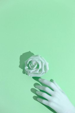 Aqua menthe trendleri estetik. Asgari yaşam tasarımı. Sahte el ve güller.