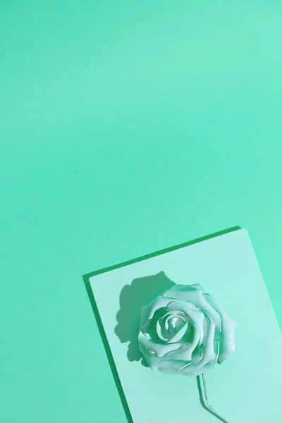 Minimal aesthetic still life monochrome wallpaper. Aqua menthe colours trends.  Roses flowers art