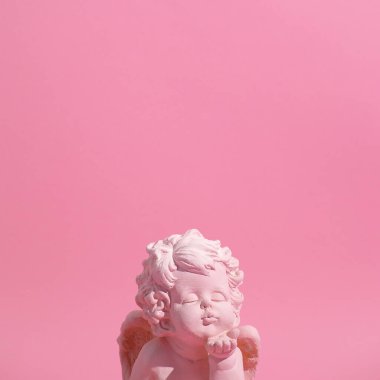 Melek öpücüğü Minimal natürmort. Monokrom renkli renkler. Pastel pembe tasarım