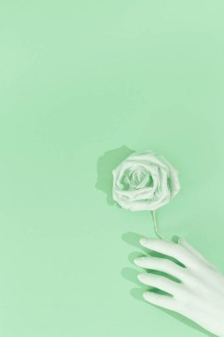Minimum estetik natürmort monokrom tasarımı. Aqua Menthe renk trendleri. Sahte el ve Güller