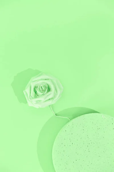 Мінімальний Естетичний Натюрморт Натюрмортів Монохромний Аква Менте Фарбує Тенденції Троянди — стокове фото
