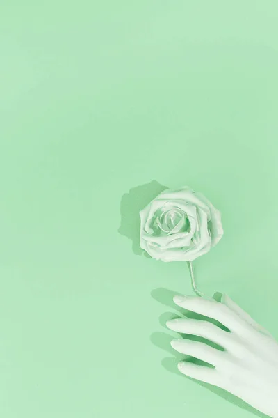 最小的美学静物单色设计 水瓶座的颜色趋势 假手和玫瑰花 — 图库照片