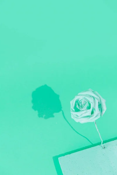 Minimal Aesthetic Still Life Monochrome Design Aqua Menthe Colours Trends — Stock Photo, Image