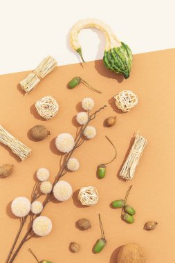 Sonbahar Sonbaharı arka planı çok az. Bitki yatağı gölgelerle kaplıydı. Bej renkli moda renkleri