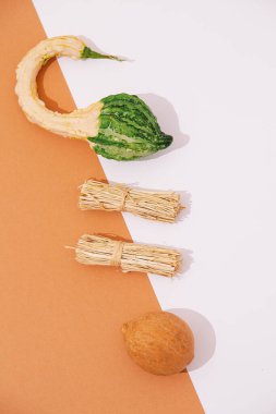 Arka planda çok az düşüş. Herbaryum sonbahar konsepti. Gölgelerle bezenmiş.