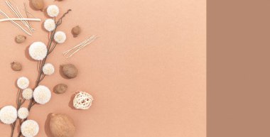 Sonbahar bitkisel çiçek dekoru. Düşme konsepti. Düz kahverengi bej renkler yatıyordu