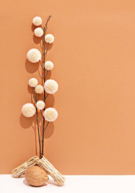 Sonbahar çiçekleri. Düşme konsepti. Durgun kahverengi bej rengi eğilimi