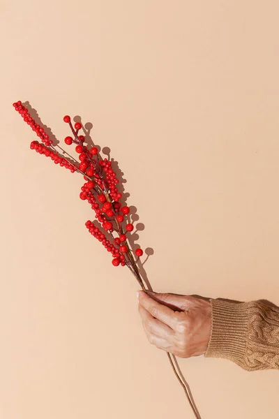 Eller Kahverengi Bej Arka Planda Sonbahar Dekoru Dalını Tutuyor Sonbahar — Stok fotoğraf